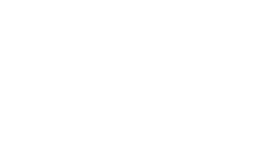 Springboard Danse Montréal